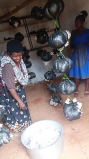 Frauen erlernen, wie man Pilze züchtet. Sie können die Pilze selber essen und zum Verkaufen auf den Markt bringen, um Geld zu verdienen.